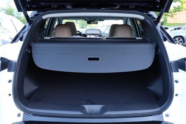 Nissan Murano Vehicle Image 08