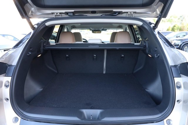 Nissan Murano Vehicle Image 07