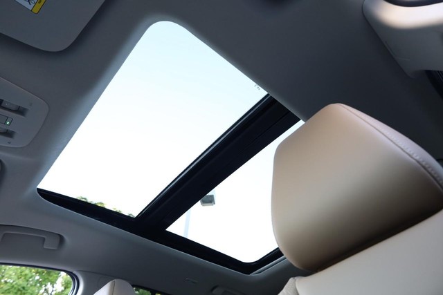 Nissan Murano Vehicle Image 10