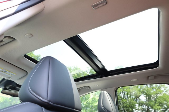 Nissan Murano Vehicle Image 10