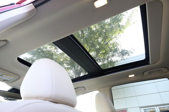 Nissan Murano Vehicle Image 10