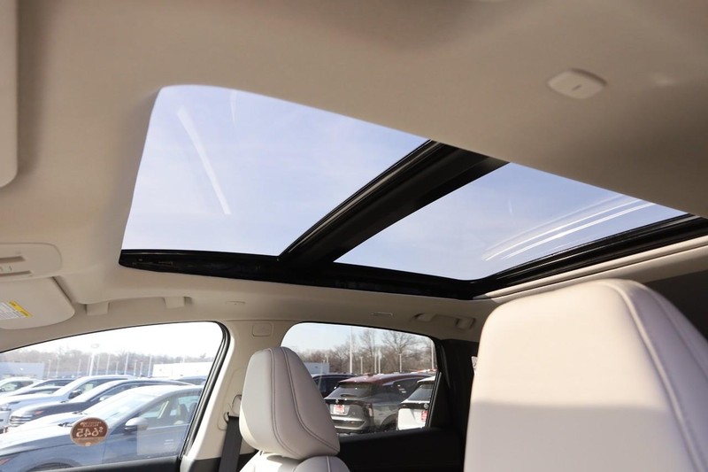 Nissan Murano Vehicle Image 12