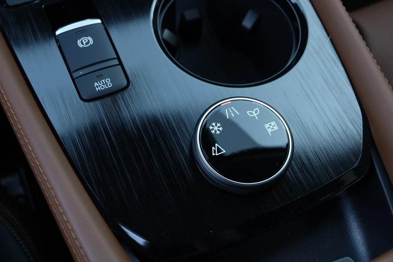 Nissan Rogue Vehicle Image 20
