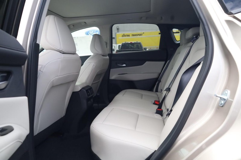 Nissan Murano Vehicle Image 09