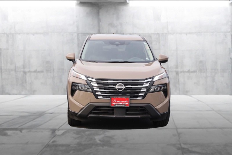 Nissan Rogue Vehicle Image 04