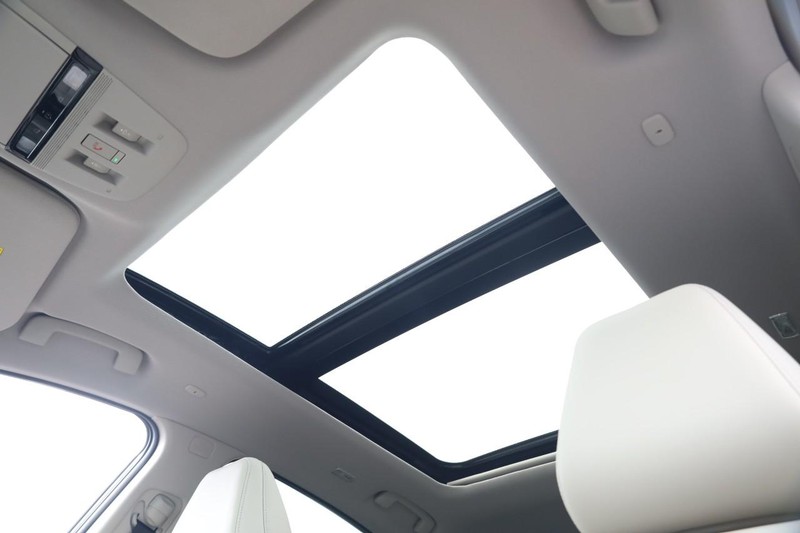Nissan Murano Vehicle Image 09