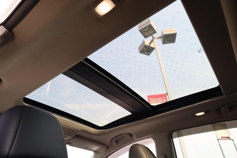 Nissan Murano Vehicle Image 09
