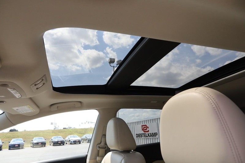 Nissan Murano Vehicle Image 09