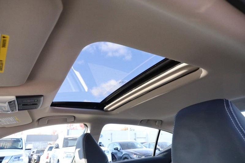 Nissan Altima Vehicle Image 09