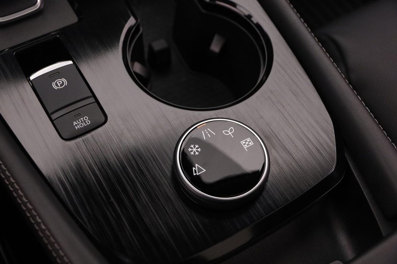 Nissan Rogue Vehicle Image 25