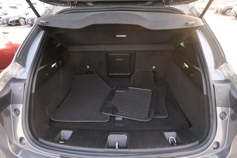 Dodge Hornet Vehicle Image 07