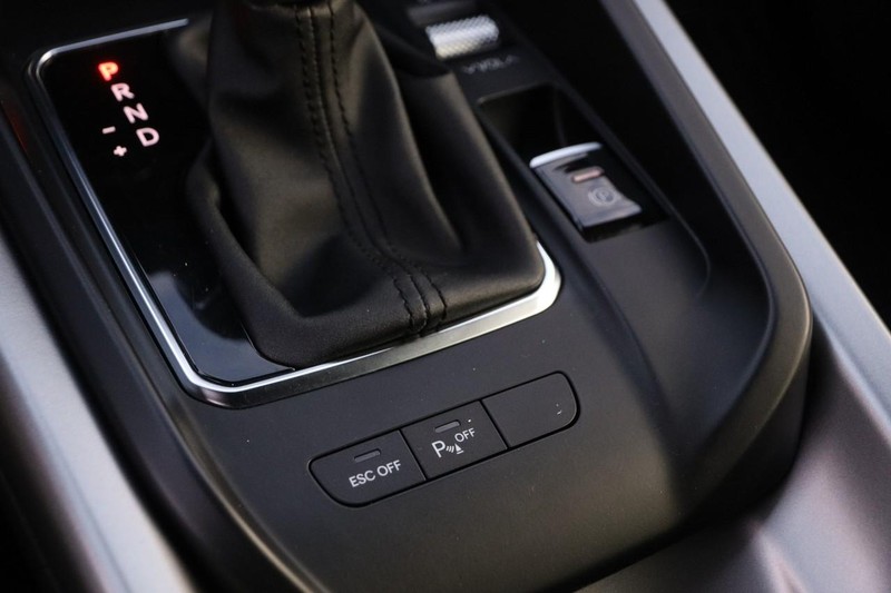 Dodge Hornet Vehicle Image 20