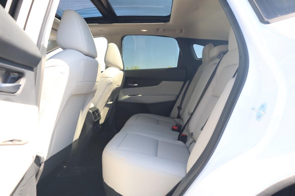 Nissan Murano Vehicle Image 21