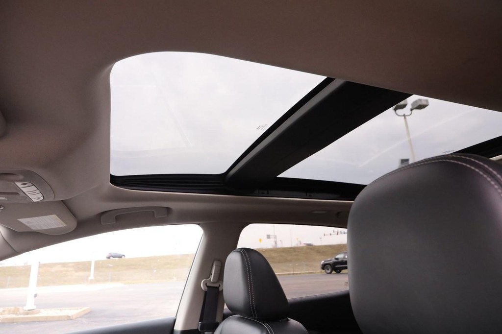 Nissan Murano Vehicle Image 09