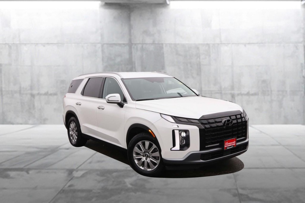 Hyundai Palisade Vehicle Image 02