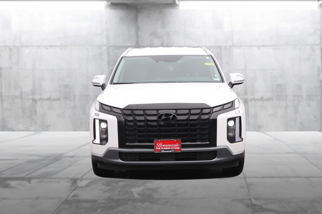Hyundai Palisade Vehicle Image 04
