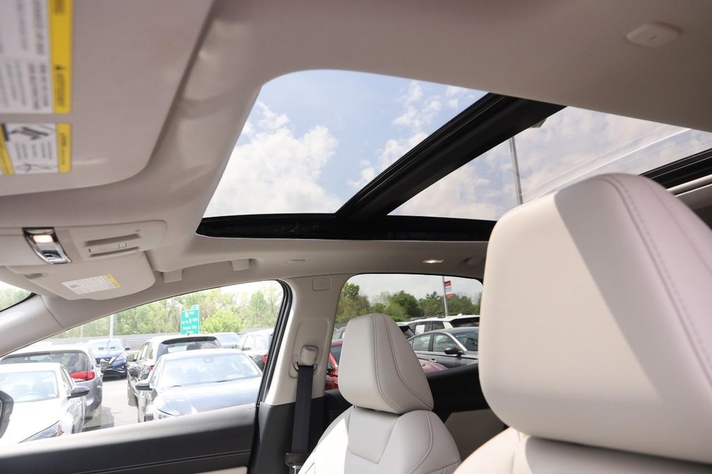Nissan Murano Vehicle Image 09
