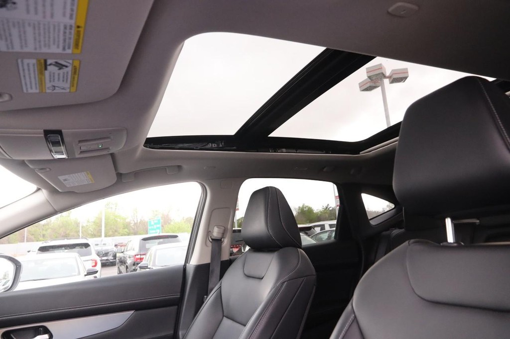 Nissan Murano Vehicle Image 11