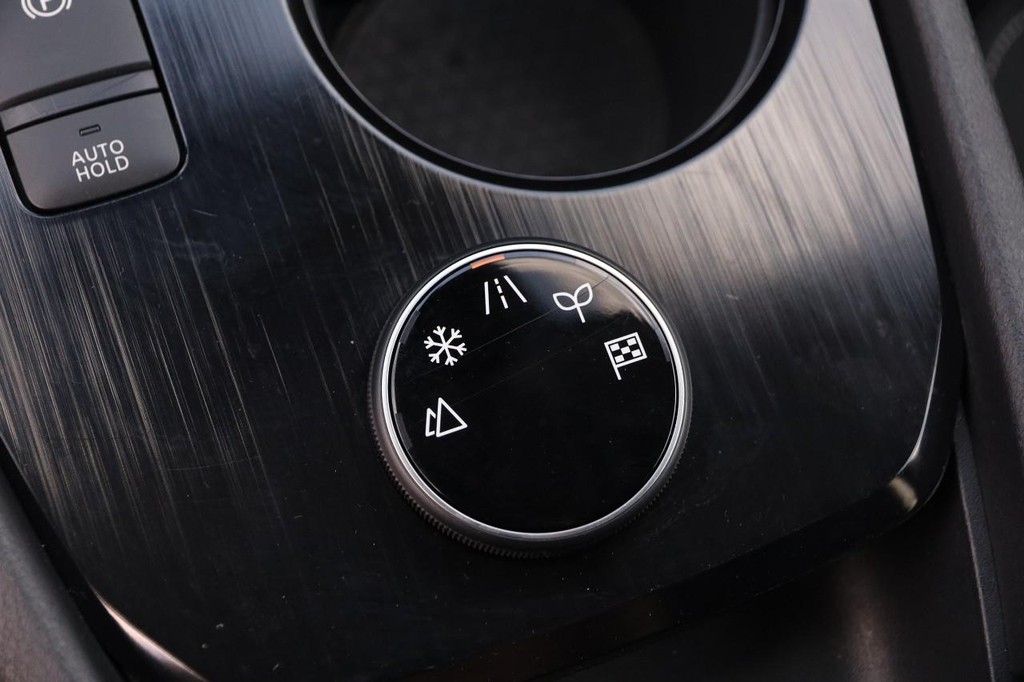 Nissan Rogue Vehicle Image 20