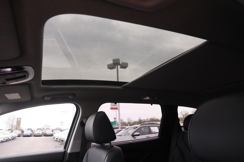 Hyundai Santa Fe Vehicle Image 09