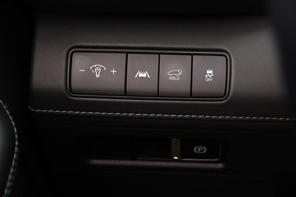 Hyundai Santa Fe Vehicle Image 21