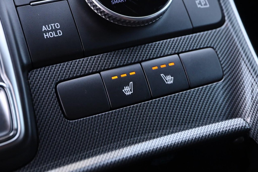 Hyundai Santa Fe Vehicle Image 20