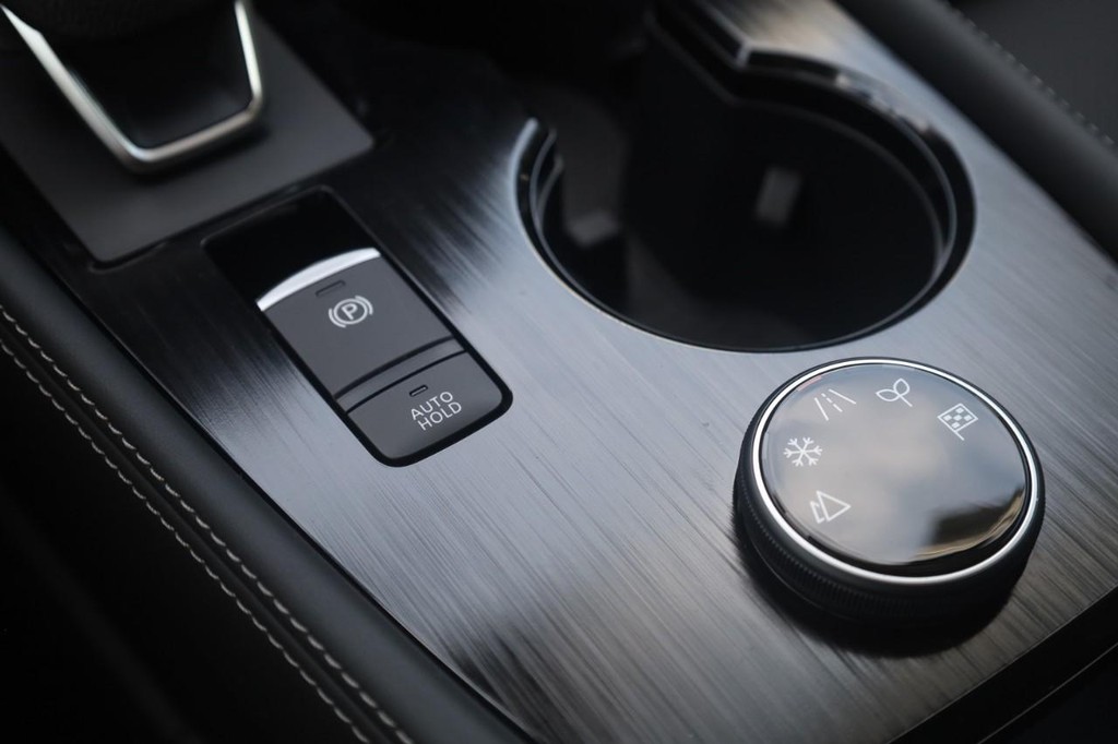 Nissan Rogue Vehicle Image 19