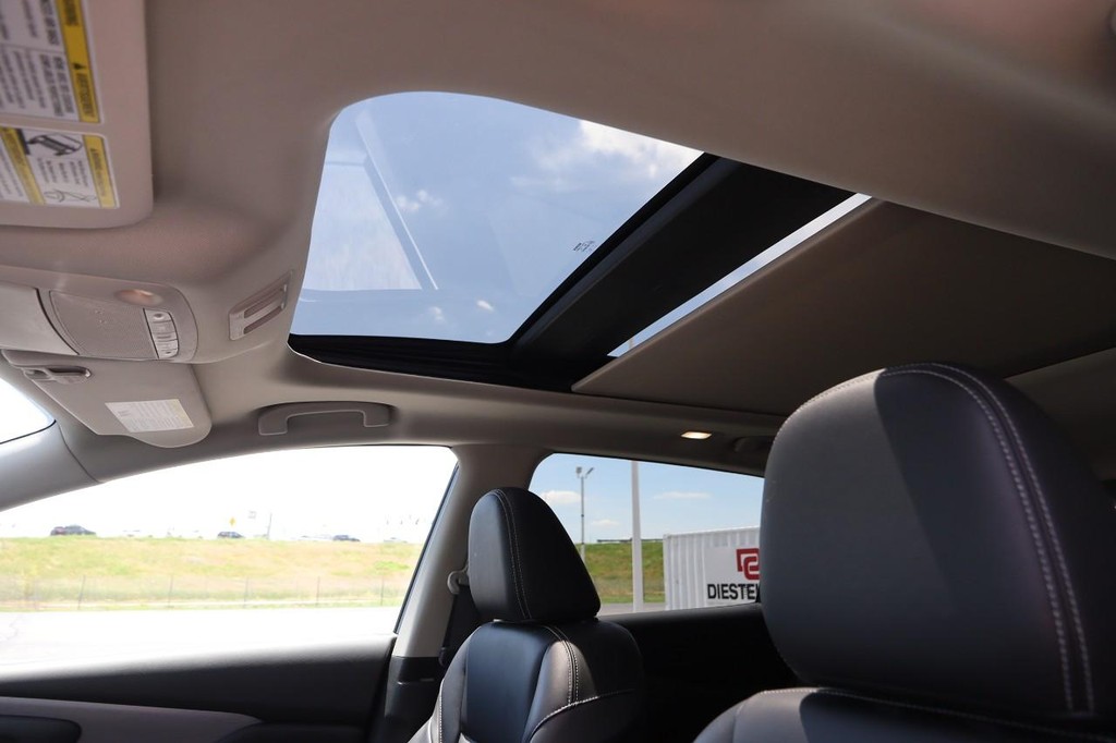 Nissan Murano Vehicle Image 09