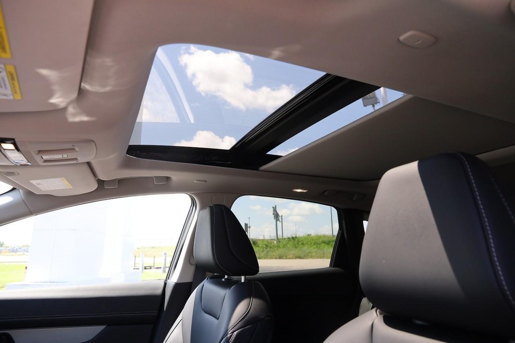 Nissan Murano Vehicle Image 09