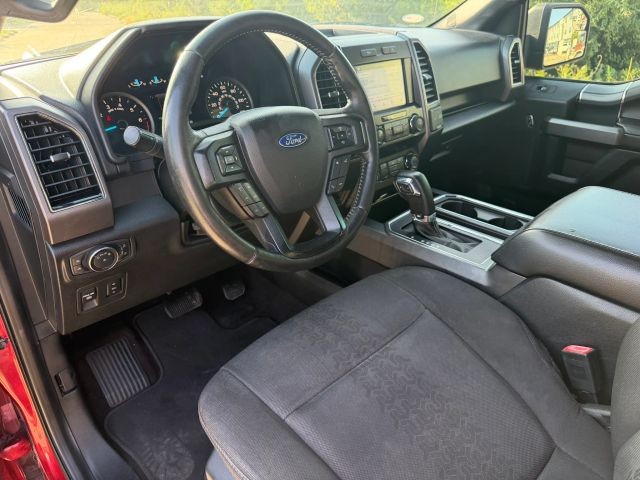 Ford F-150 Vehicle Full-screen Gallery Image 11