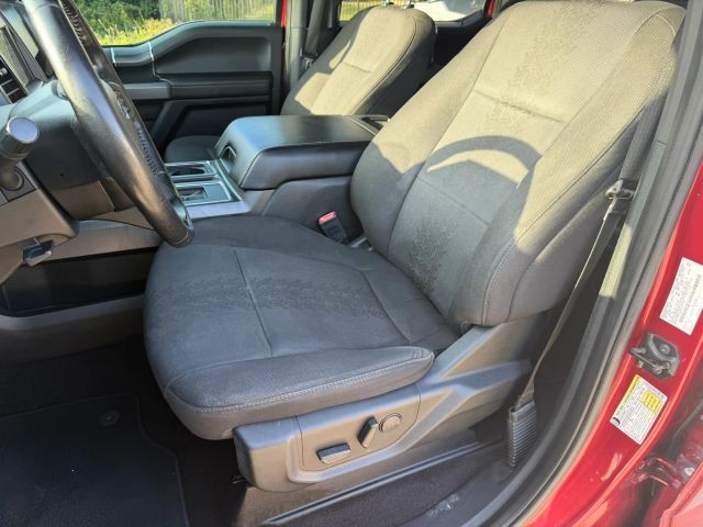 Ford F-150 Vehicle Full-screen Gallery Image 12