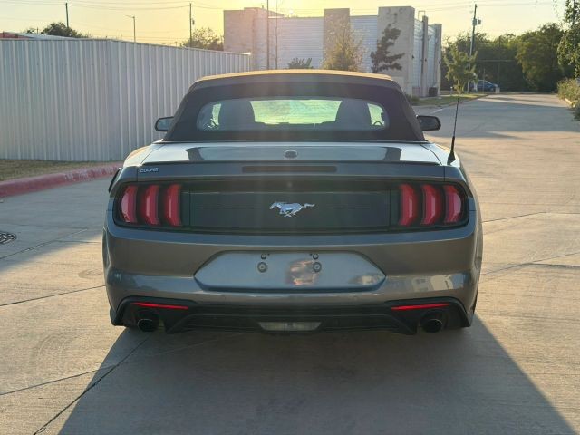 Ford Mustang Vehicle Full-screen Gallery Image 05