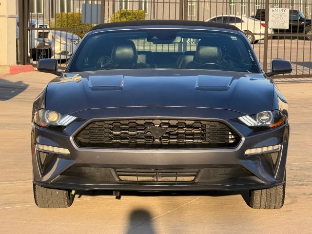 Ford Mustang Vehicle Full-screen Gallery Image 09