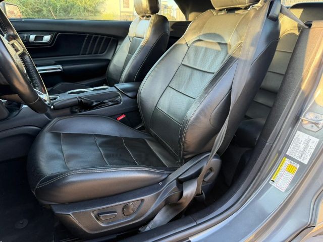 Ford Mustang Vehicle Full-screen Gallery Image 12