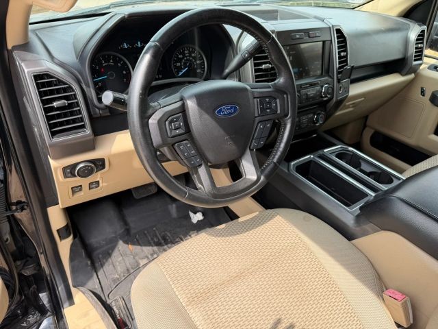 Ford F-150 Vehicle Full-screen Gallery Image 11