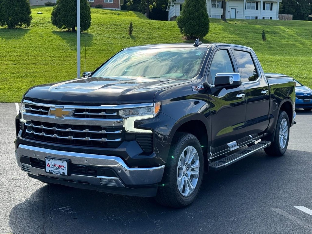Chevrolet Silverado 1500 Vehicle Full-screen Gallery Image 08