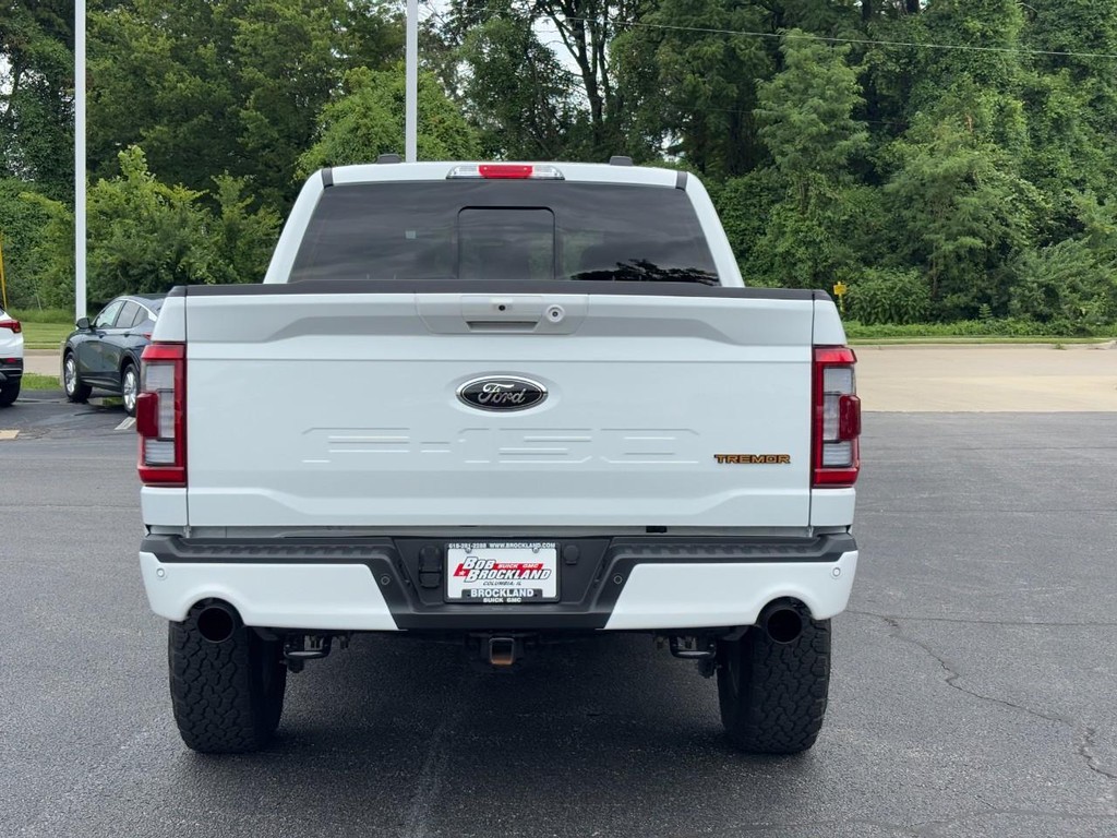 Ford F-150 Vehicle Full-screen Gallery Image 04