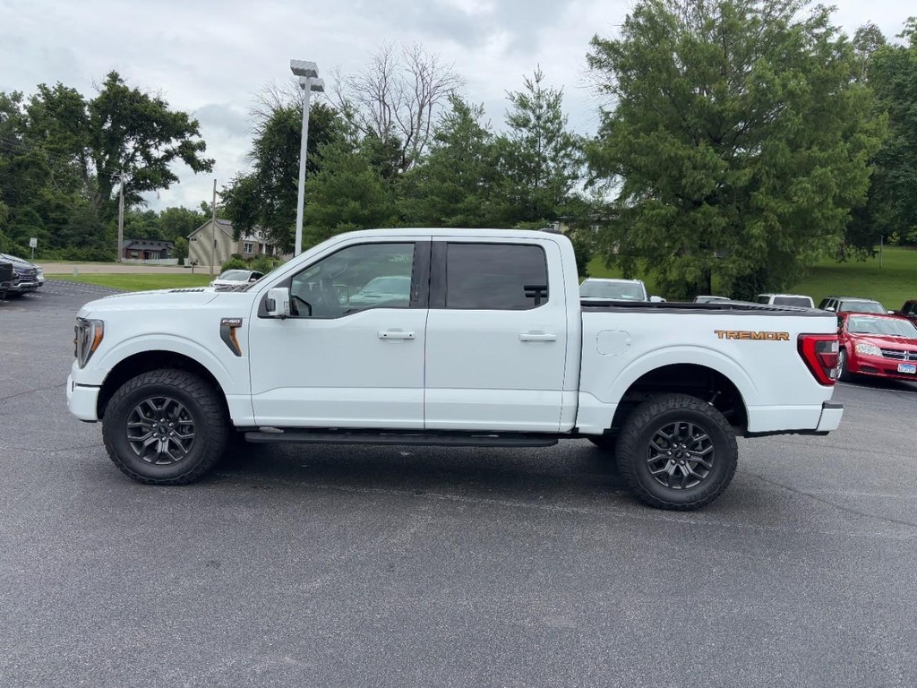 Ford F-150 Vehicle Full-screen Gallery Image 06