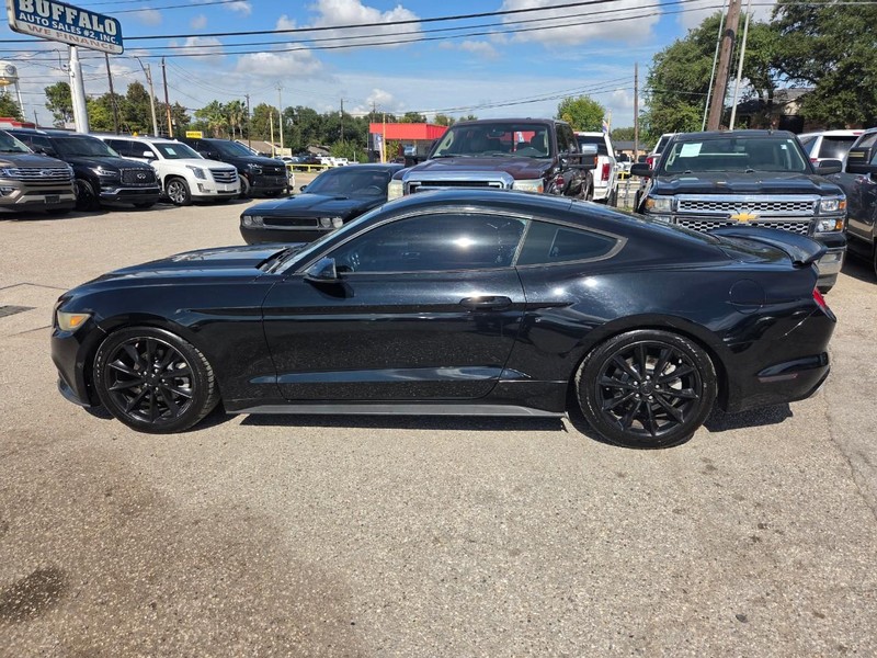 Ford Mustang Vehicle Image 05