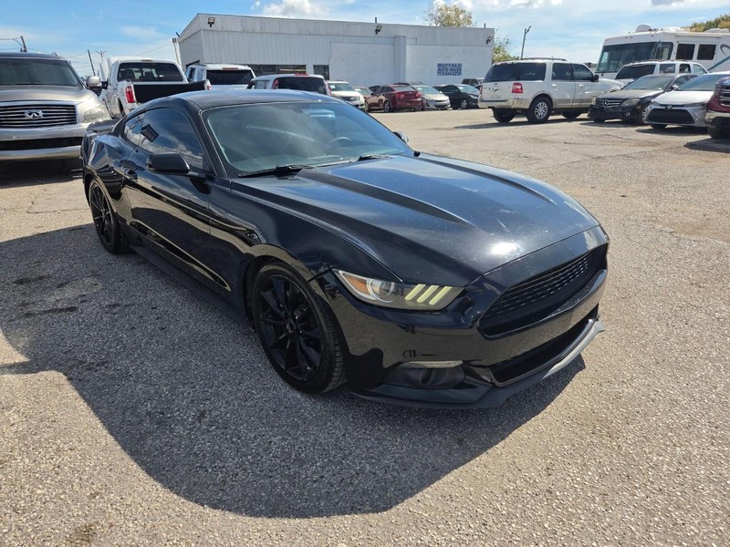 Ford Mustang Vehicle Image 08