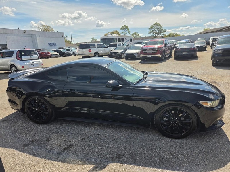Ford Mustang Vehicle Image 10