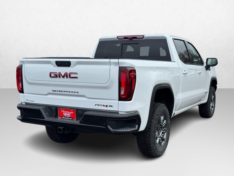 GMC Sierra 1500 Vehicle Image 03