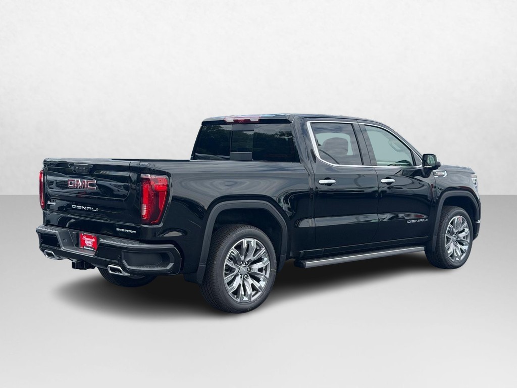 GMC Sierra 1500 Vehicle Image 03