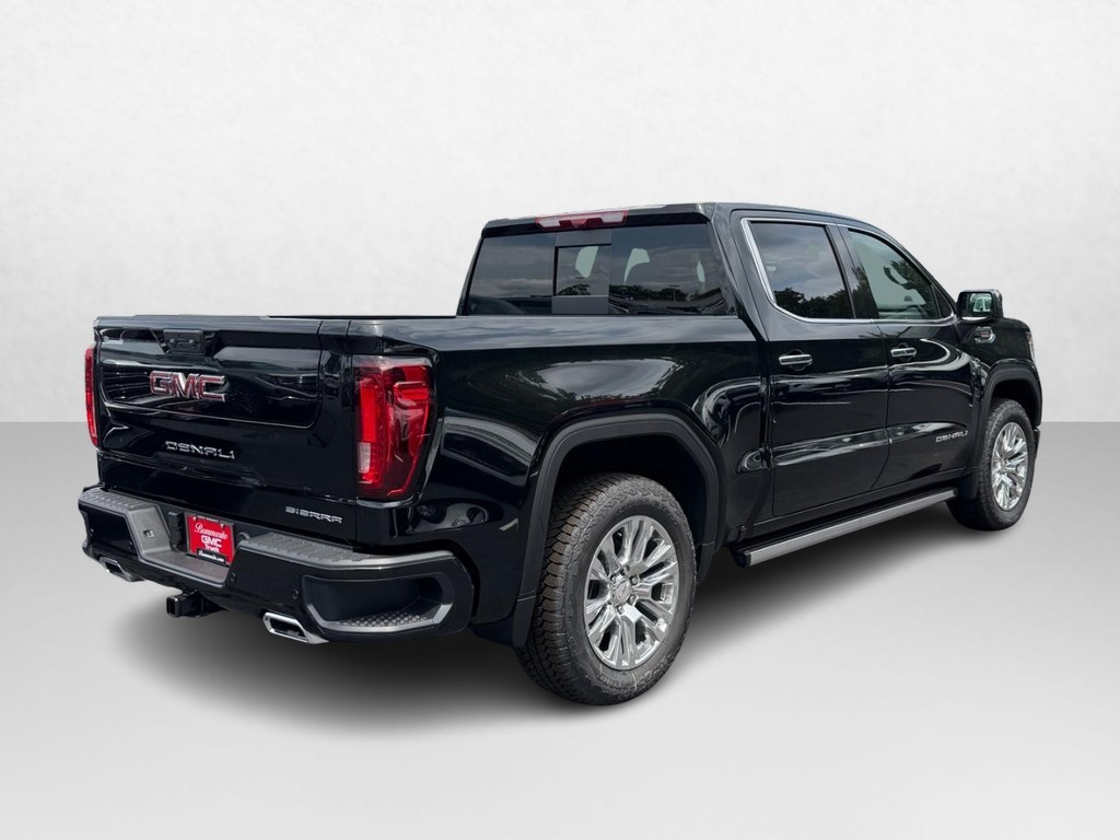GMC Sierra 1500 Vehicle Image 03