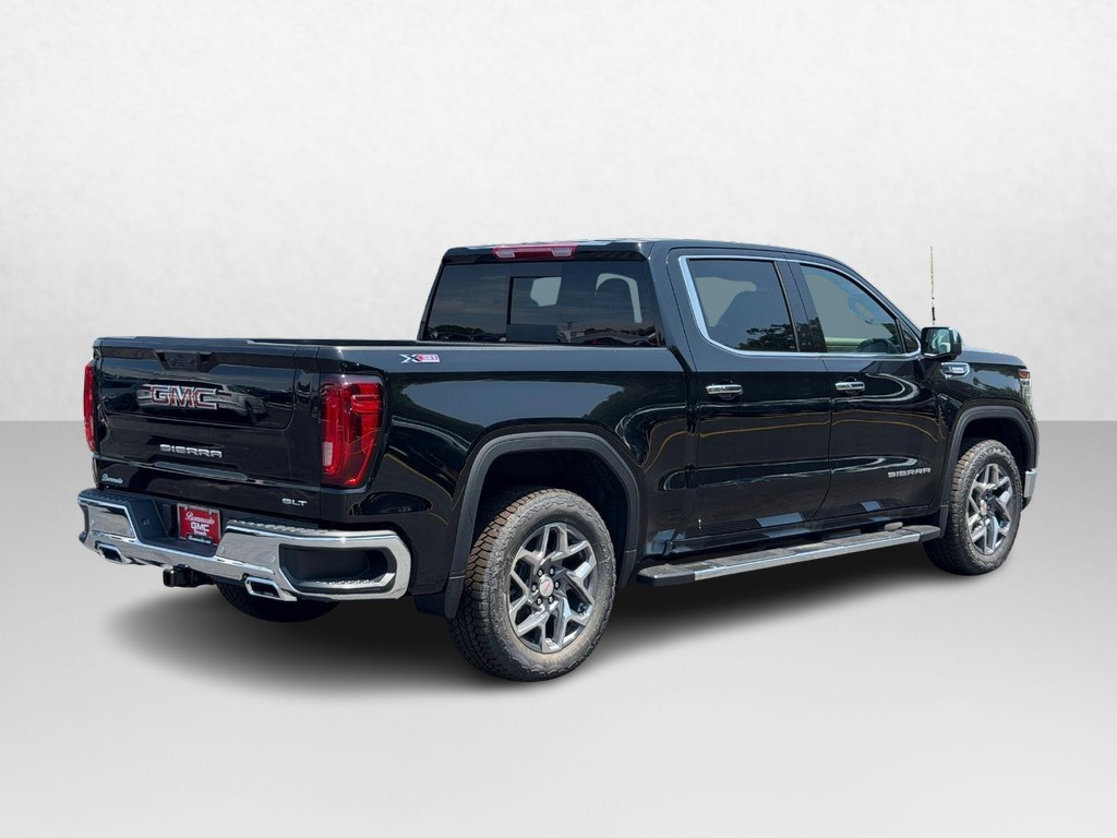 GMC Sierra 1500 Vehicle Image 03