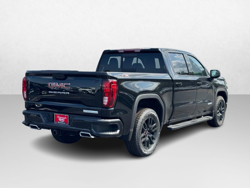 GMC Sierra 1500 Vehicle Image 03