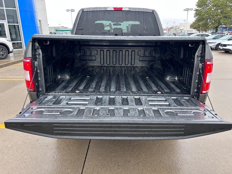 Ford F-150 Vehicle Full-screen Gallery Image 04