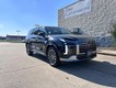 2025 Hyundai Palisade Calligraphy thumbnail image 01