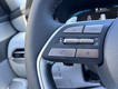 2025 Hyundai Palisade SEL thumbnail image 13