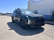 2025 Hyundai Palisade XRT thumbnail image 01